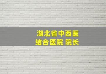 湖北省中西医结合医院 院长